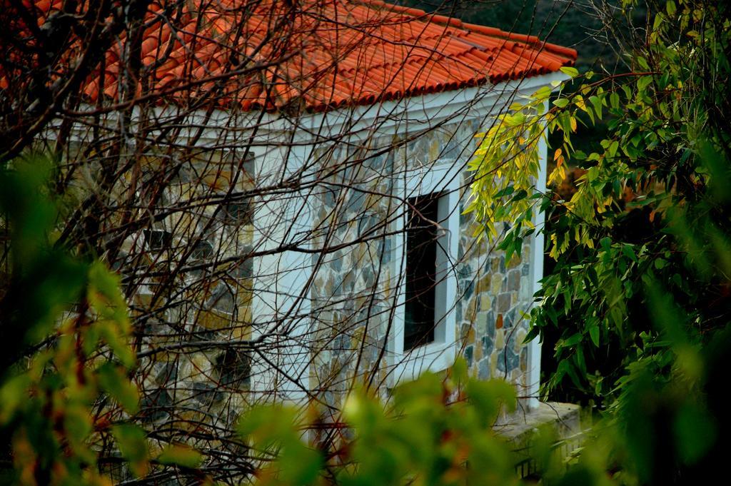 Mavikarga Bozcaada Bed and Breakfast Exteriör bild